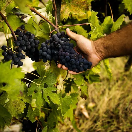 Etru - Volterra, Tuscany Villa *