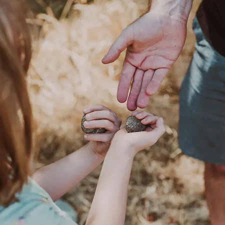 Etru - Volterra, Tuscany Villa *