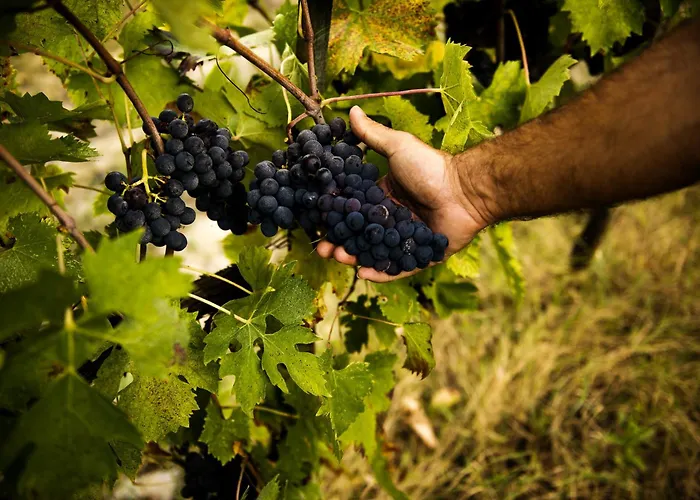 Etru - Volterra, Tuscany ヴィラ *