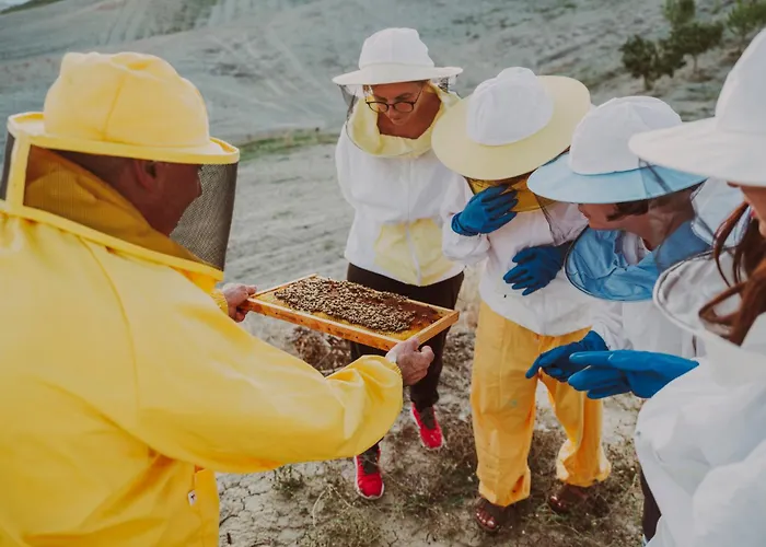 Etru - Volterra, Tuscany ヴィラ