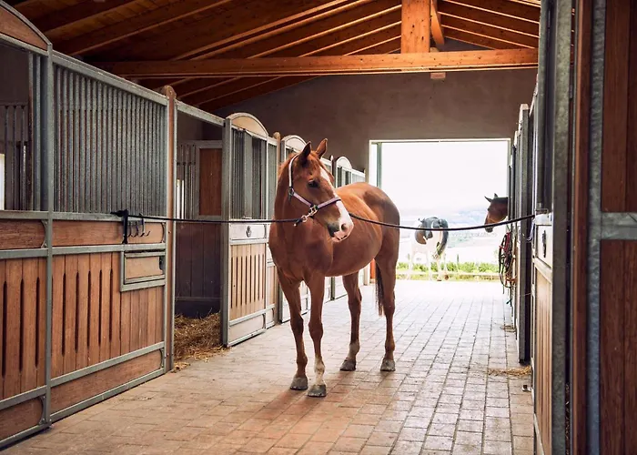 Etru - Volterra, Tuscany Peccioli